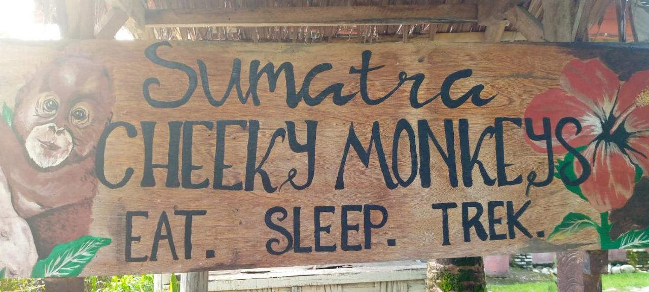 Sumatra Cheeky Monkeys Hotel Bukit Lawang Exterior photo