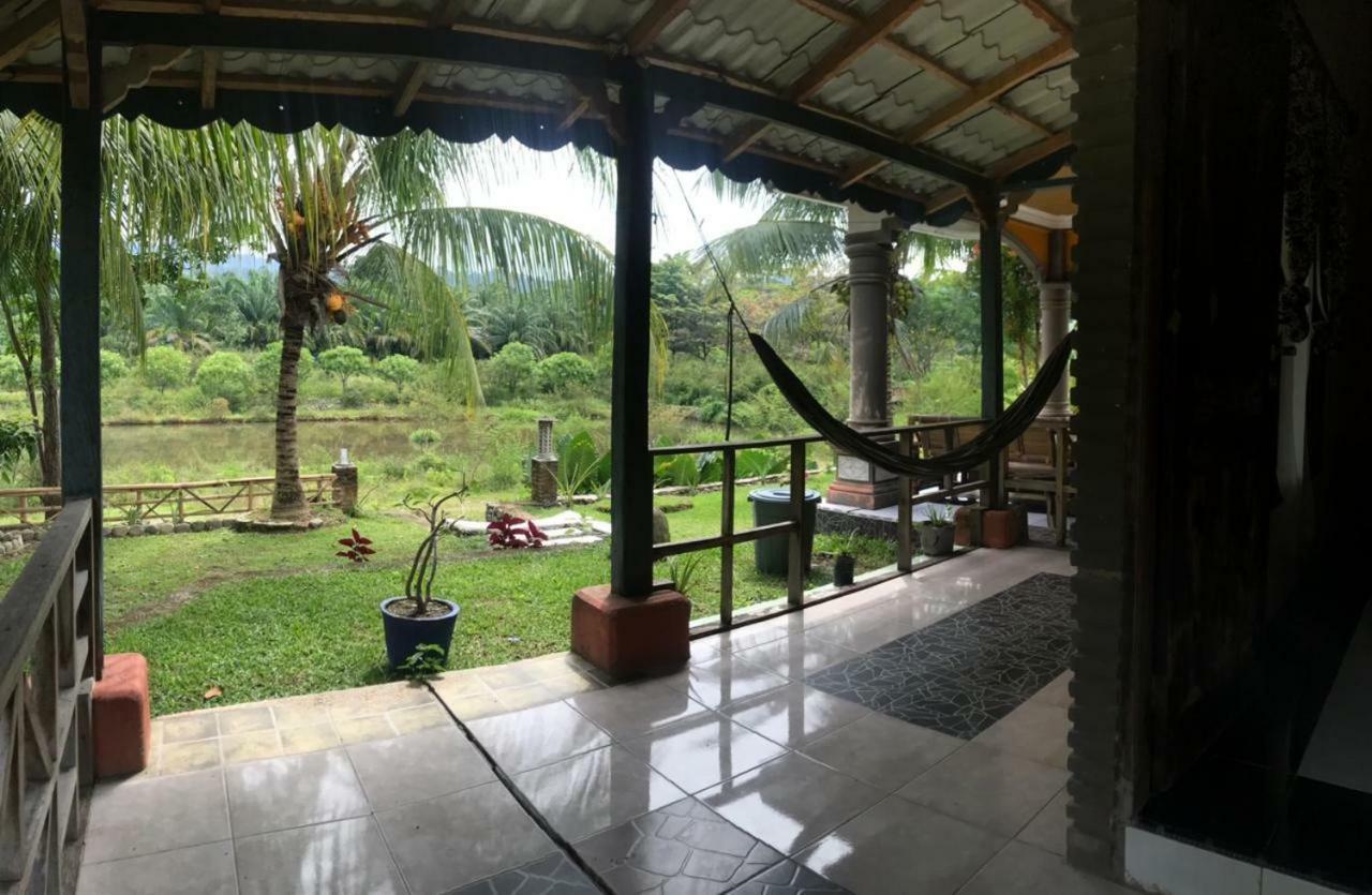 Sumatra Cheeky Monkeys Hotel Bukit Lawang Exterior photo